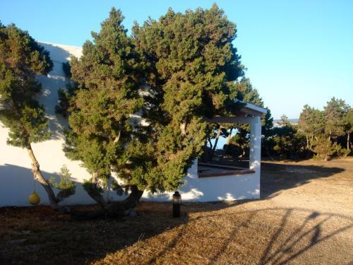 Meridium Hotel Playa de Migjorn