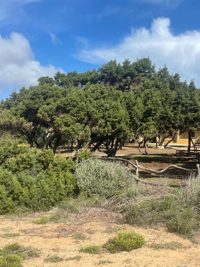 Meridium Formentera By Tentol *