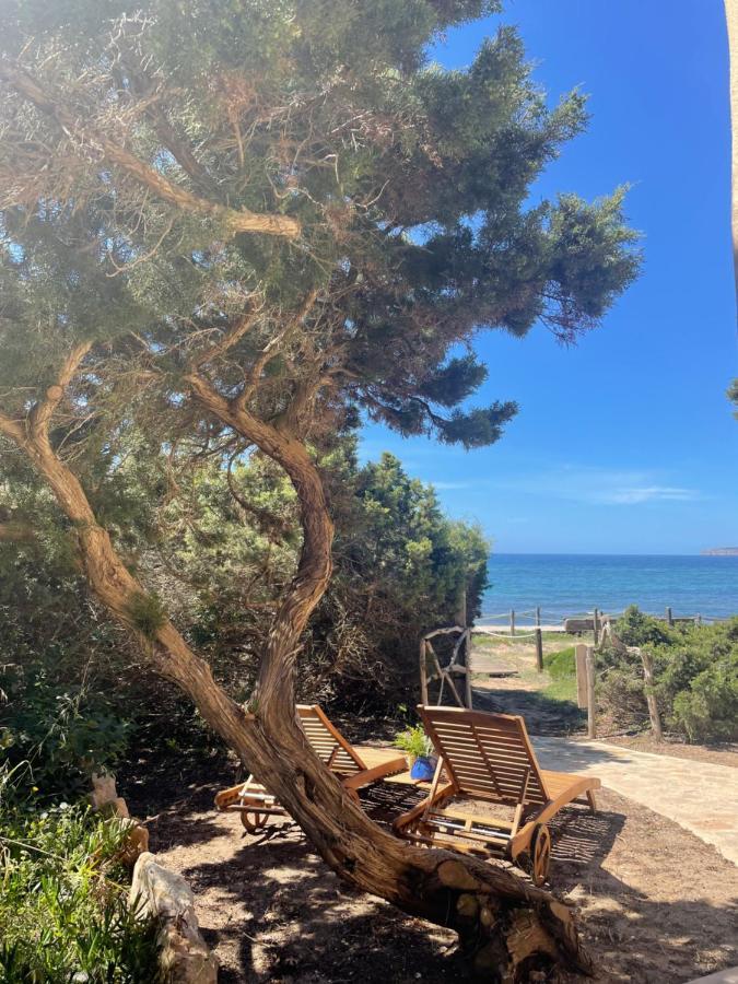 Meridium Formentera By Tentol Playa Migjorn