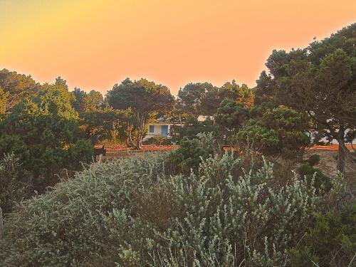 Meridium Formentera By Tentol Playa Migjorn